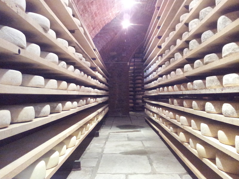cheese, Italy, Piemonte - Italy
