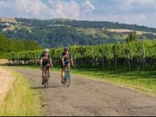 Cycling Holidays in Emilia Romagna